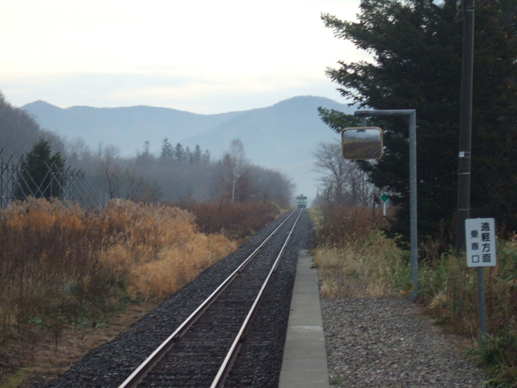c0072801_1392365.jpg