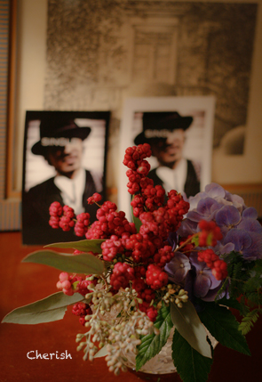 写真展Ⅱ〜SINGLE~_b0208604_22144541.jpg
