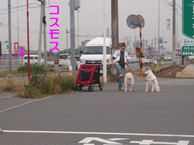 e0018604_1781631.jpg