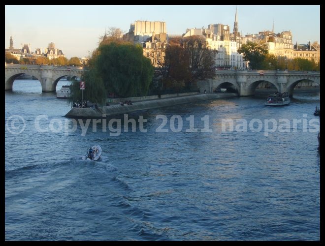 【ポン･ヌフ、芸術橋界隈】11月1日（PARIS）_a0008105_22756.jpg