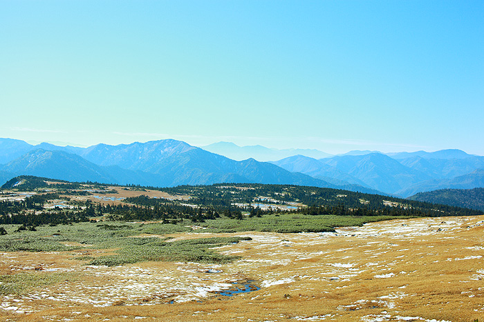 a0148606_2217447.jpg