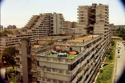 e0147206_1252037.jpg