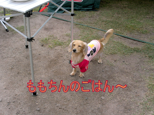 f0224506_2122638.jpg
