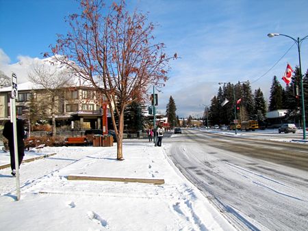 やはり今日11月4日のバンフは『白銀の世界』(Snow in Banff)_b0051109_3293370.jpg