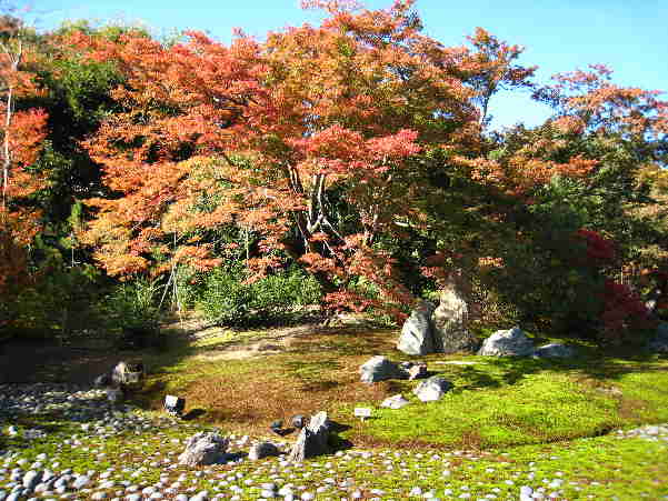 秋の京都　宝厳院　その1_d0154609_10145598.jpg