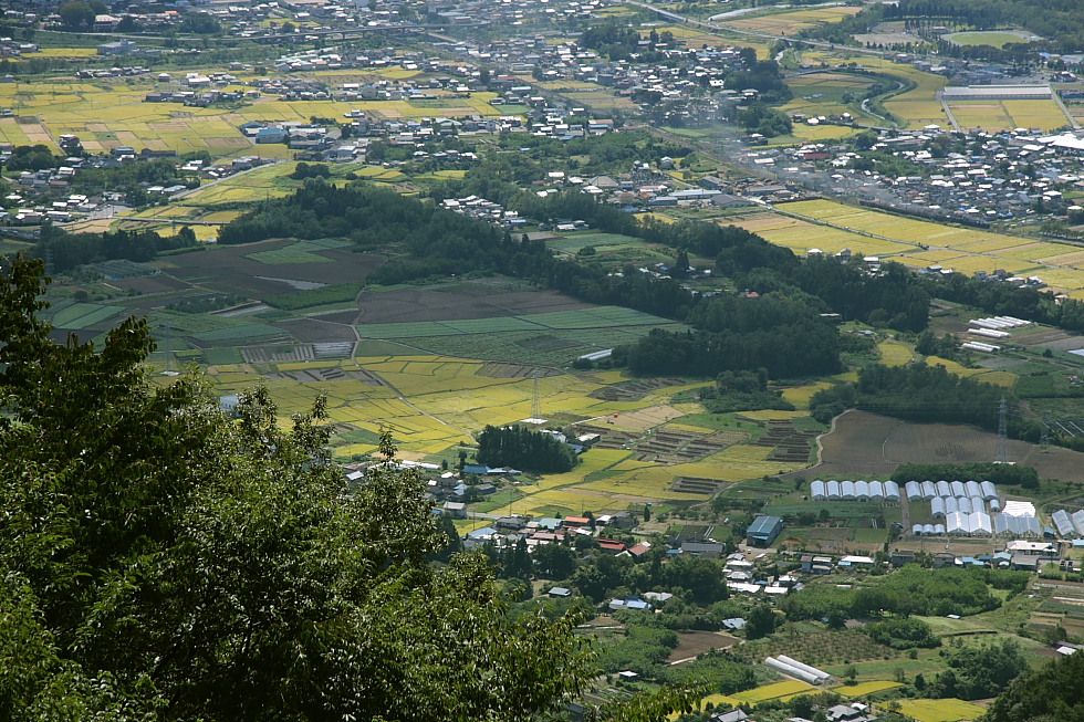 緑色 - 2011年初秋・上越線 -_b0190710_042975.jpg