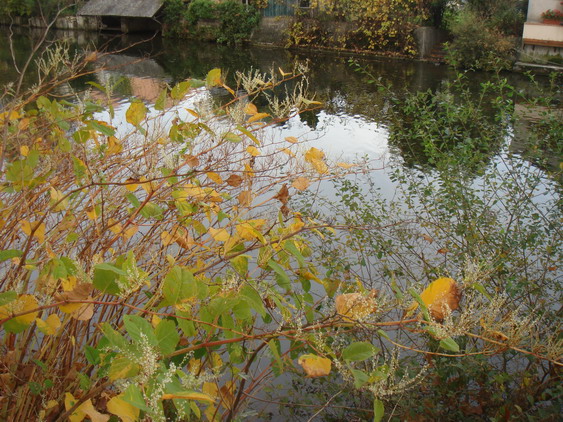 c0124619_6335967.jpg
