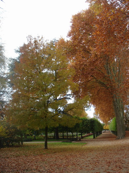 c0124619_6382656.jpg