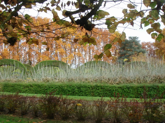 c0124619_6441051.jpg