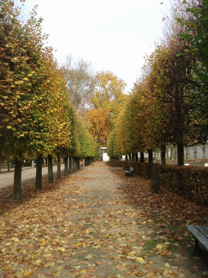 c0124619_6482287.jpg