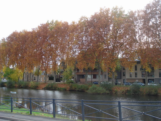 c0124619_6502523.jpg