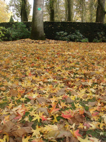 c0124619_6581562.jpg