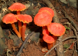 a0043520_045626.jpg