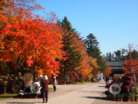 b0147224_19104891.jpg