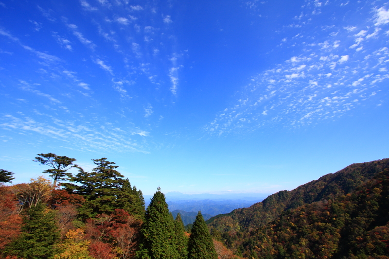 岐阜県 片知渓谷にて_f0105425_1875775.jpg