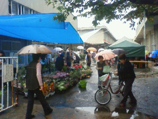 a0071926_1883710.jpg