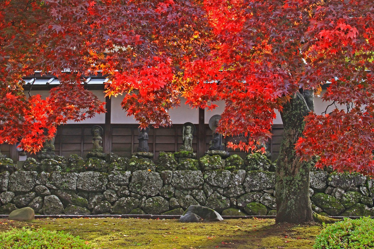 長円寺_c0104227_70332.jpg