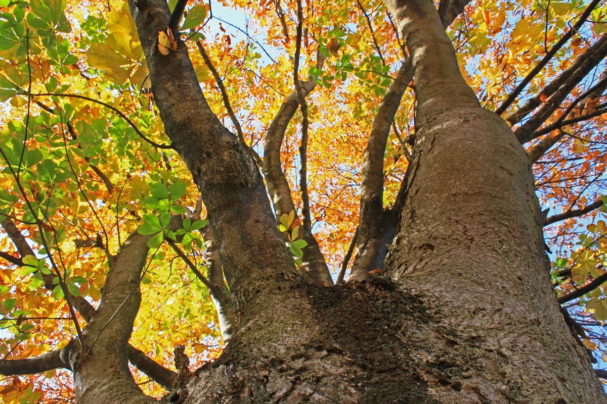 c0104227_7273389.jpg