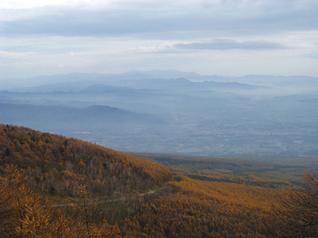 d0130927_1034128.jpg