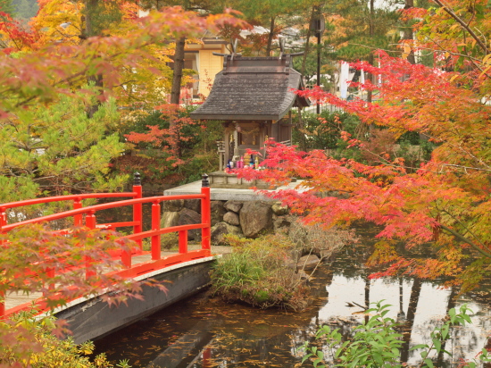 紅葉2011～高野山～_e0080133_15568.jpg