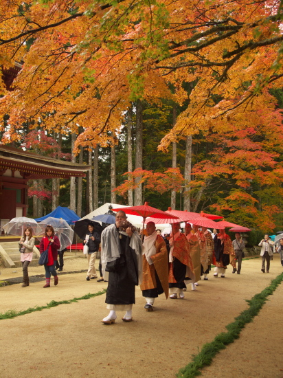 紅葉2011～高野山～_e0080133_162833.jpg