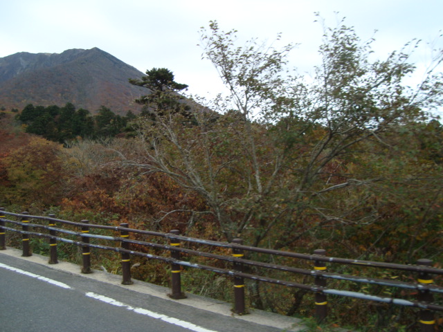 e0060041_9195030.jpg