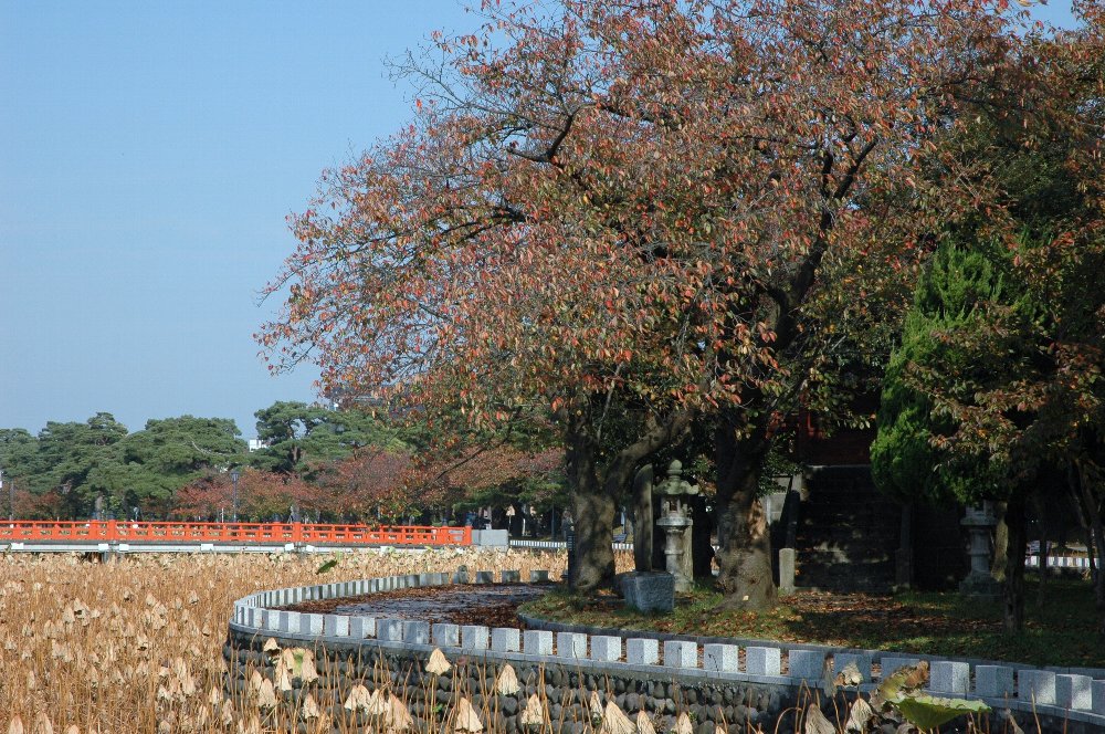          城址紅葉_f0134441_7491230.jpg