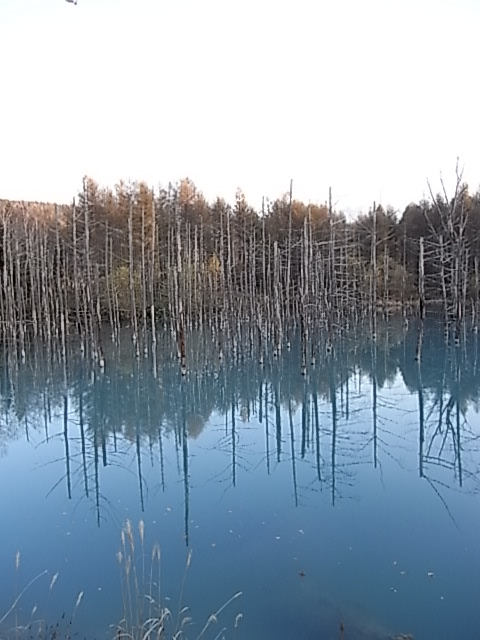 b0145846_10362359.jpg