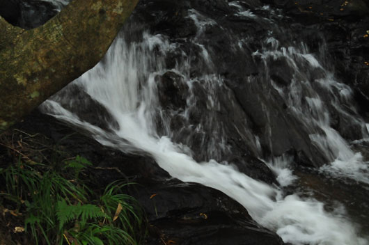 c0093046_16162491.jpg