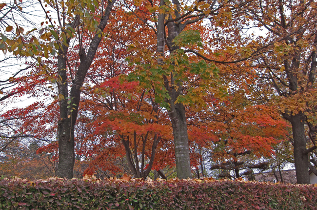c0147548_22155791.jpg