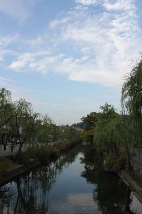 a0226853_16341754.jpg