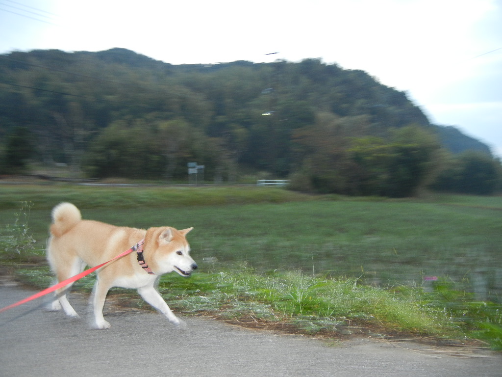 １１月５日（土）１日が短くなってきました！_f0060461_13311090.jpg