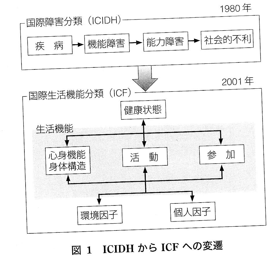 ICF（国際生活機能分類）について その① : がんばらねばいかん