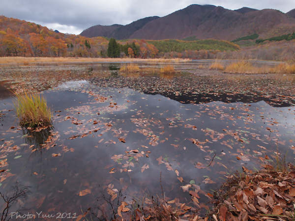 福島県　観音沼・・1）_b0078874_14333.jpg