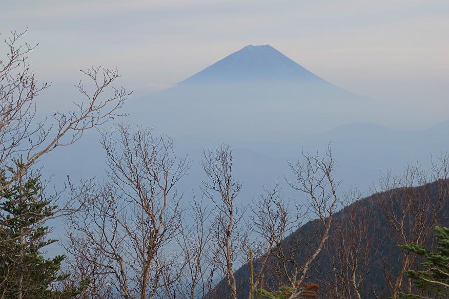 鳳凰三山からの富士山_f0220774_1559192.jpg