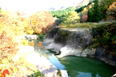 c0057781_1054429.jpg