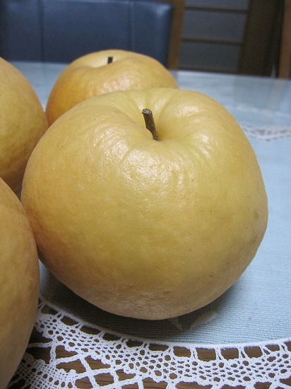 b0182884_17234046.jpg