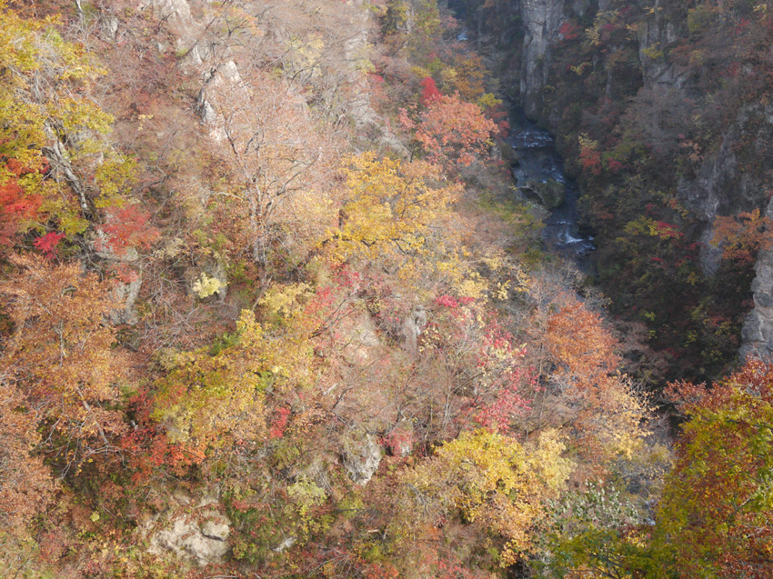 「鳴子峡」紅葉ツーリング_d0244687_17112058.jpg