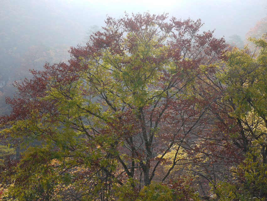 「鳴子峡」紅葉ツーリング_d0244687_17114587.jpg