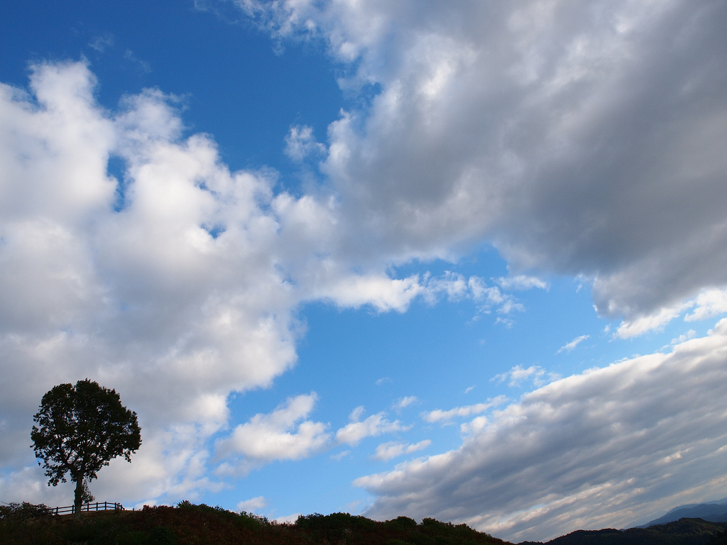 a0133692_1917767.jpg