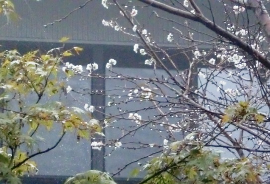 f0212993_2210772.jpg