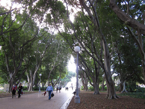 f0189895_945356.jpg
