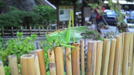 a0216098_22153044.jpg