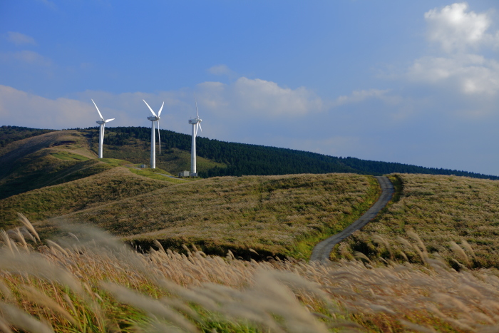 e0135098_421810.jpg