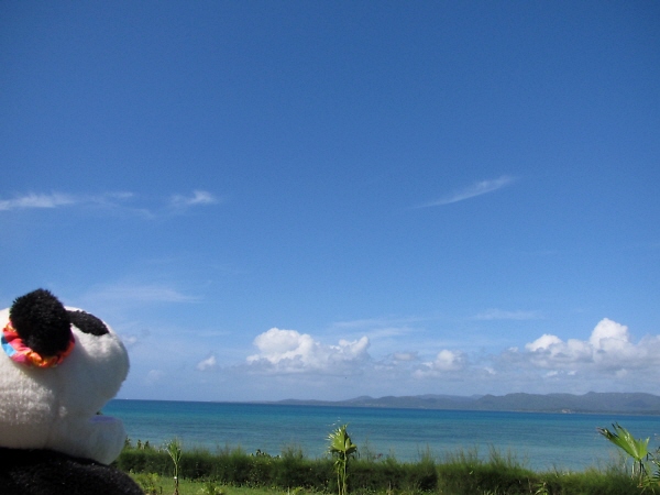 海と空と・・・_f0033598_2313232.jpg