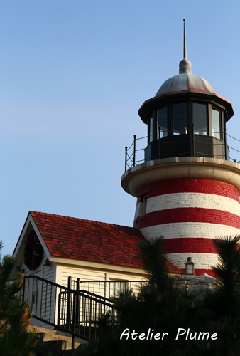 e0154202_1222772.jpg