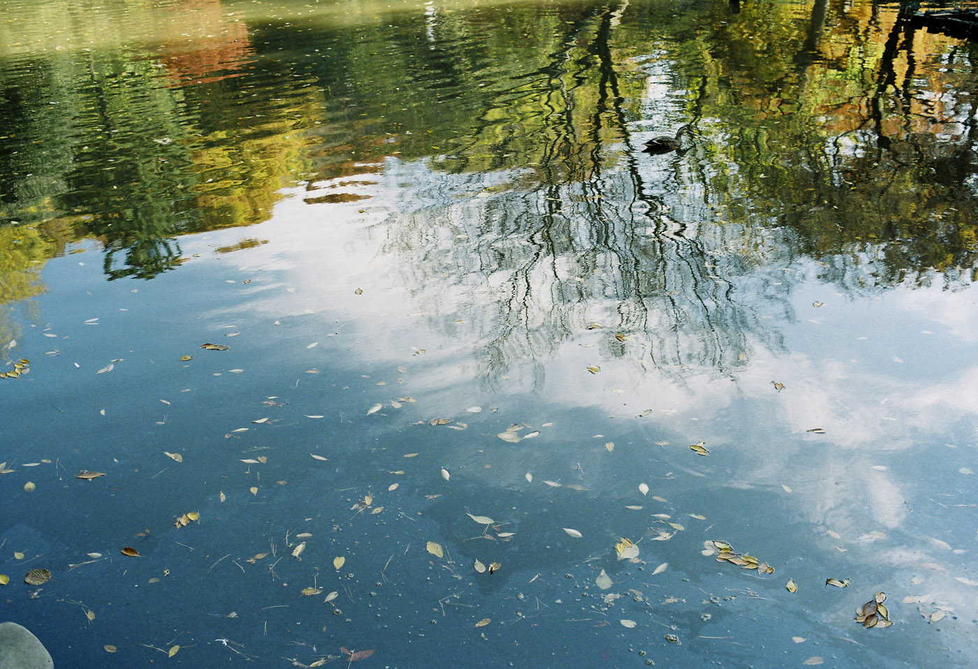 c0120903_2545353.jpg