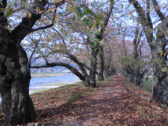e0242504_141989.jpg