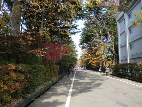e0242504_1423950.jpg