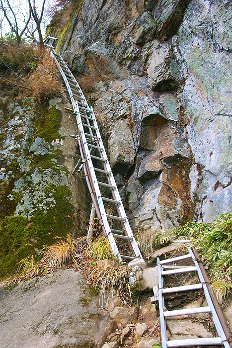 a0148606_20352987.jpg
